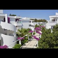 Video Galerisi