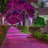 Genel Görünüm Galerisi