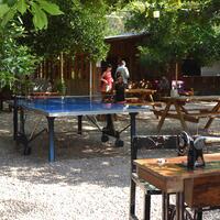 Spor Galerisi