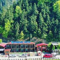 Genel Görünüm Galerisi