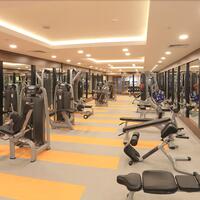 Spor Galerisi