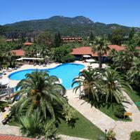 Genel Görünüm Galerisi