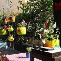 Lobi & Oturma Alanları Galerisi