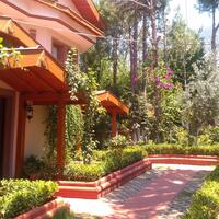 Genel Görünüm Galerisi