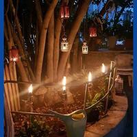 Genel Görünüm Galerisi