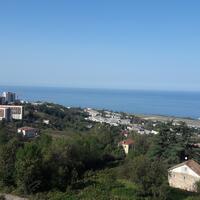 Aktivite Galerisi