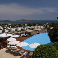 Genel Görünüm Galerisi