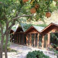 Genel Görünüm Galerisi