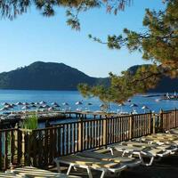 Genel Görünüm Galerisi