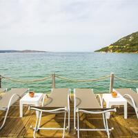 Aktivite Galerisi