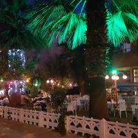 Aktivite Galerisi