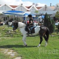 Aktivite Galerisi