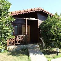 Aktivite Galerisi