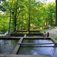 Genel Görünüm Galerisi