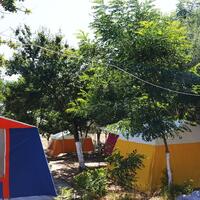 Genel Görünüm Galerisi