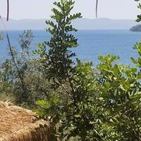 Genel Görünüm Galerisi