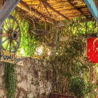 Genel Görünüm Galerisi