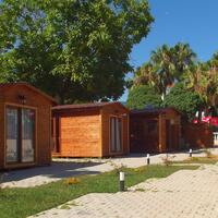 Manzara Galerisi