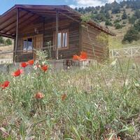 Genel Görünüm Galerisi