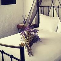 Genel Görünüm Galerisi