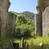 Genel Görünüm Galerisi