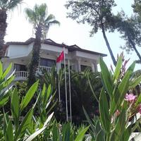 Genel Görünüm Galerisi