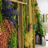 Genel Görünüm Galerisi