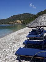 Havuz & Plaj Galerisi
