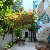 Genel Görünüm Galerisi