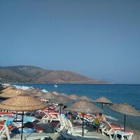 Havuz & Plaj Galerisi