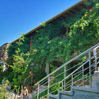 Genel Görünüm Galerisi