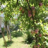 Genel Görünüm Galerisi