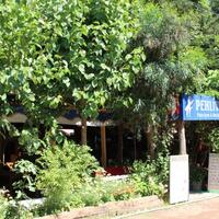 Genel Görünüm Galerisi