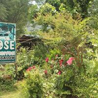 Genel Görünüm Galerisi