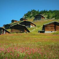 Genel Görünüm Galerisi