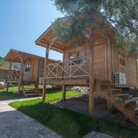 Genel Görünüm Galerisi