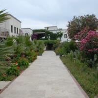 Genel Görünüm Galerisi