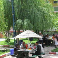 Genel Görünüm Galerisi
