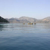 Oda Özellikleri Galerisi