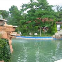 Genel Görünüm Galerisi