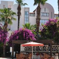 Genel Görünüm Galerisi