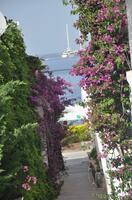 Bahçe & Oturma Alanları Galerisi