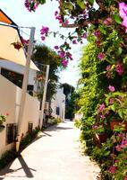 Genel Görünüm Galerisi