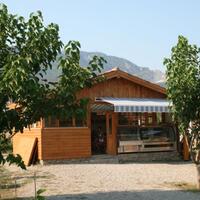 Genel Görünüm Galerisi