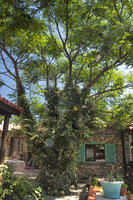 Genel Görünüm Galerisi