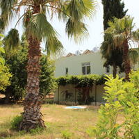 Genel Görünüm Galerisi