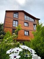 Genel Görünüm Galerisi