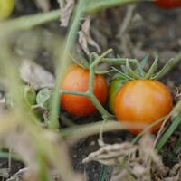 Toplantı ve Organizasyon Galerisi