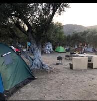 Genel Görünüm Galerisi