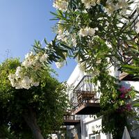 Bahçe & Oturma Alanları Galerisi